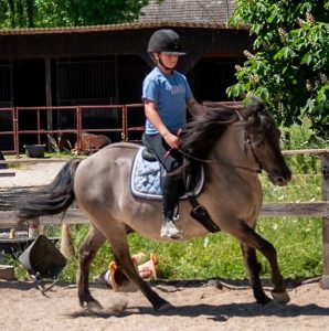 Galopp